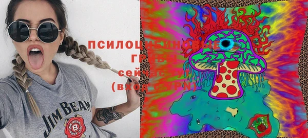 амф Абинск