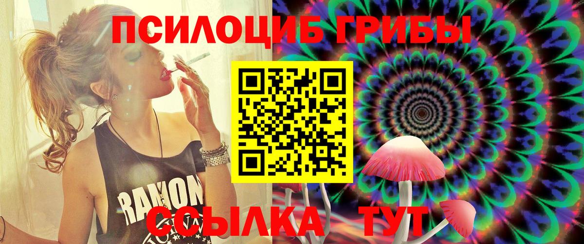 Псилоцибиновые грибы Cubensis  Псилоцибиновые грибы MAGIC MUSHROOMS  Вход с VPN  Грозный 