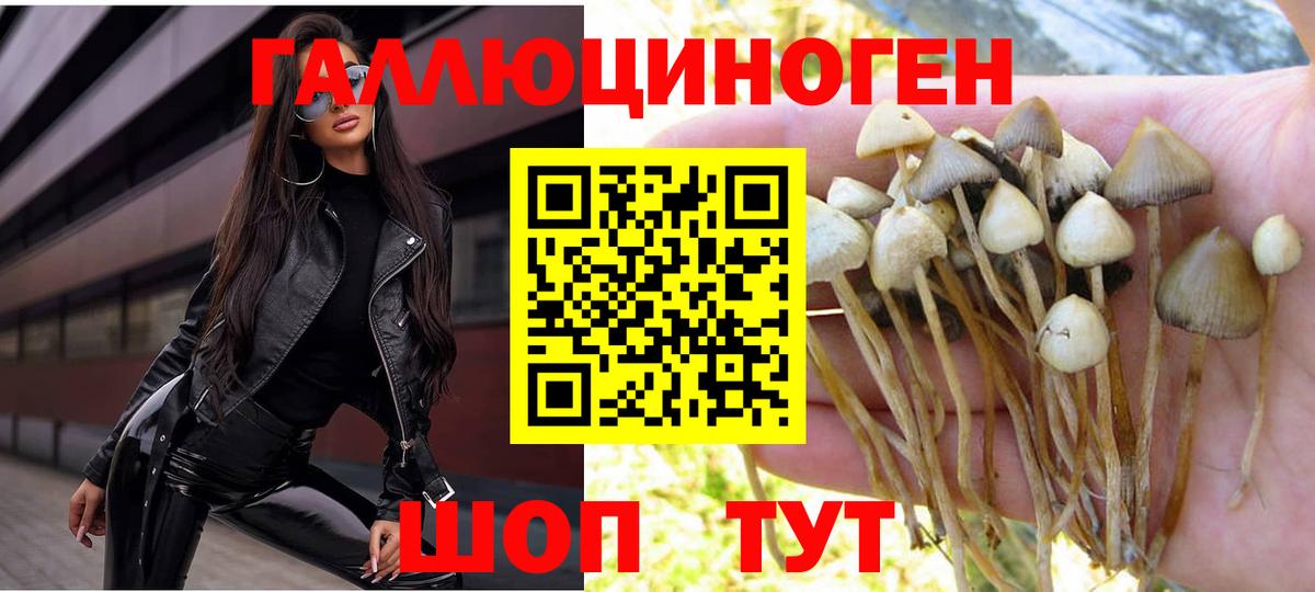 МАРИХУАНА Грозный